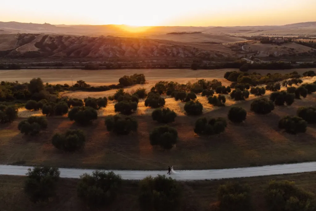 Aerial view of olive groves and hills at sunset in the Italian countryside